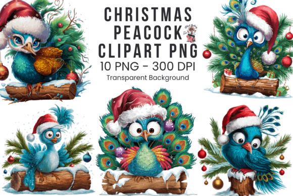 Christmas Peacock Clipart PNG Bundle: Illustrations for Holiday Branding